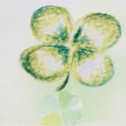 clover-iroir