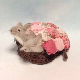 TinySpring