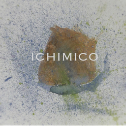 ichimico
