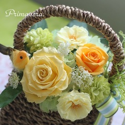 primavera116