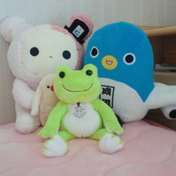 sachi