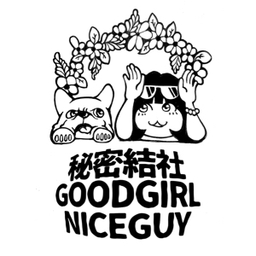 GOOD GIRL NICE GUY