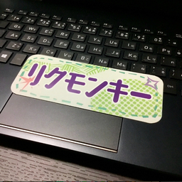 r-monkey04