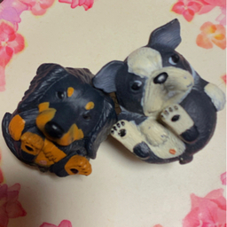 のすのすとぶく