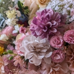 twinkle❁bloom