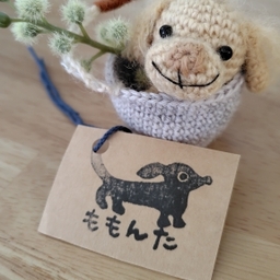 ももんた
