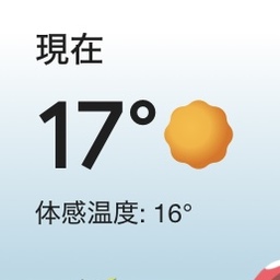 ☀️お天気最高☀️✨髪飾り作家✨