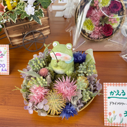 Flower  Co Co Rico