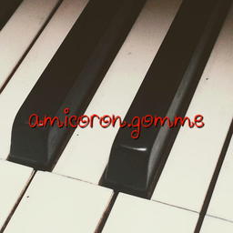 amicoron.gomme