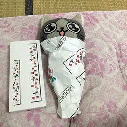 ぬこちゃん