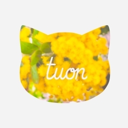 紡音(tuon)