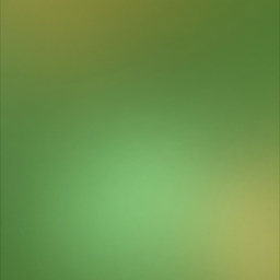 nonorun