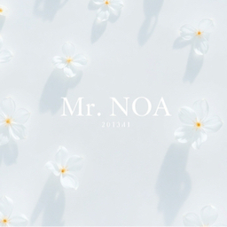 Mr.NOA