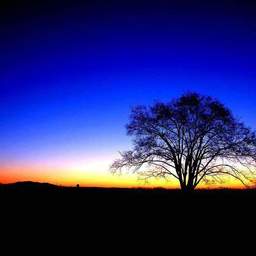 natural style