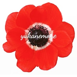 yukanemone