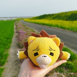 ほっこりん社