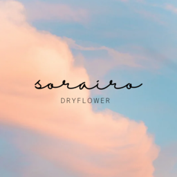 sorairo42