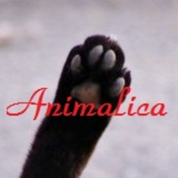animalica