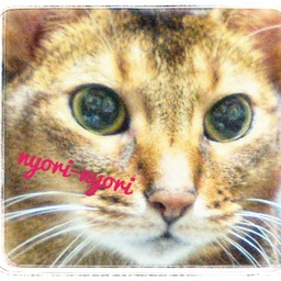 nyori-nyori