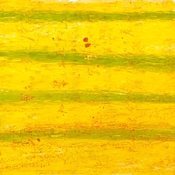 Mana Hasegawa