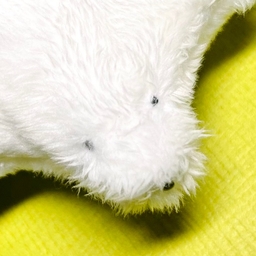 やぐる