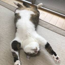 MICHIKO