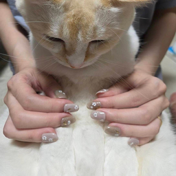 Puaryme_nailtip