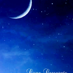 Luna.C