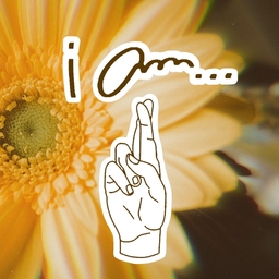 i am...