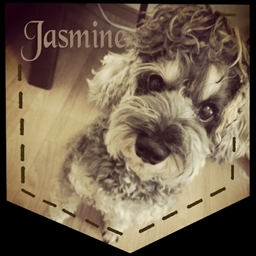 Jasmine