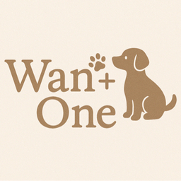 Wan+One
