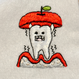 刺繍病（shishu_byō）