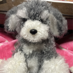 ぽん＊