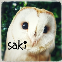 saki315