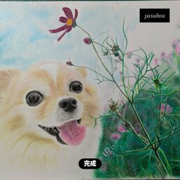 pet-oekaki