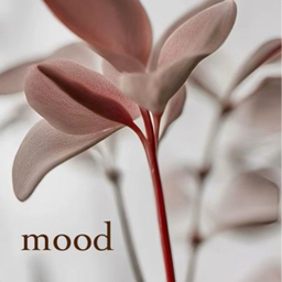 mood-shop