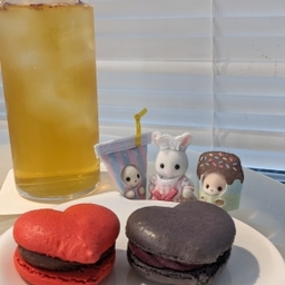 かとりぃぬ🦀
