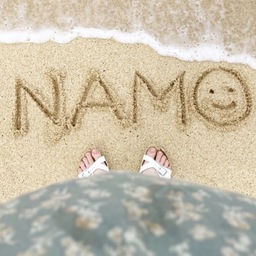 namo17