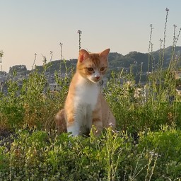アトリエらくだ