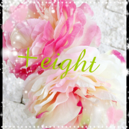 +eight