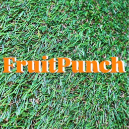 Fruit Punch 