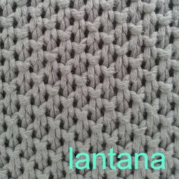 lan-tana