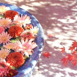 SunBirdMusic Flower