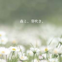 森と、芽吹き。
