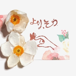 より、そう。