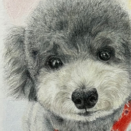 halu-art