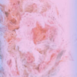 pocotan2