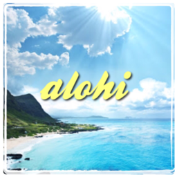 ＊alohi*⑅◡̈*