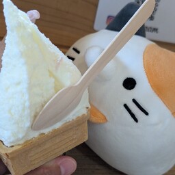 ねこととり