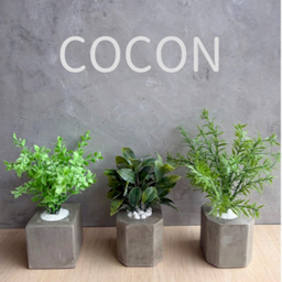 coconc